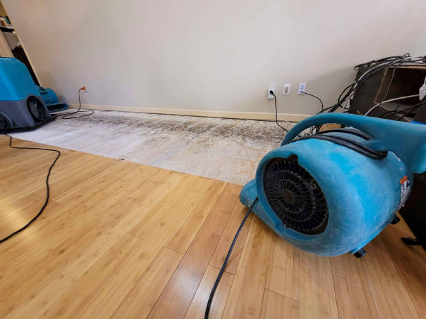 Professional Structural Drying technician working in Georges Mills, NH